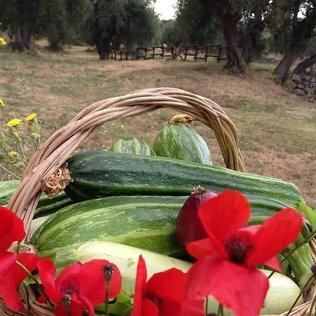 Prati Degli Orti *