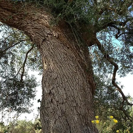 Alloggio per agriturismo Prati Degli Orti