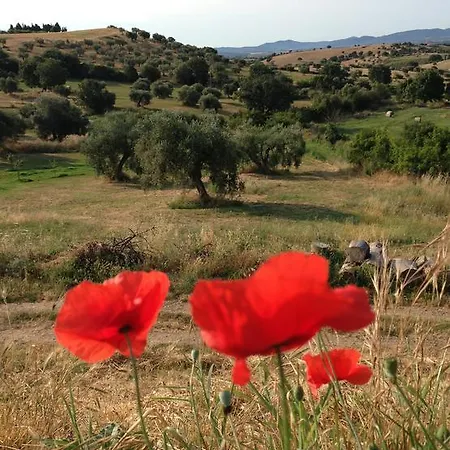 Prati Degli Orti Montiano (Tuscany)