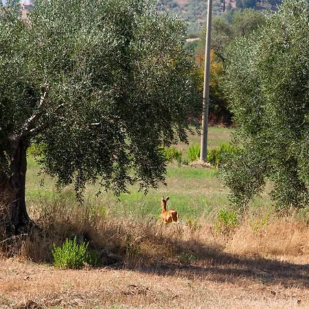 Prati Degli Orti *