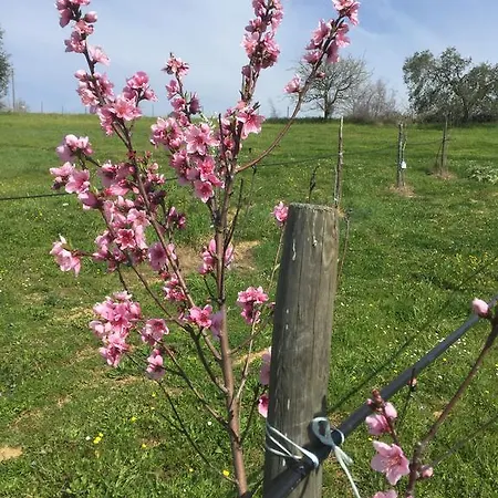 Alloggio per agriturismo Prati Degli Orti