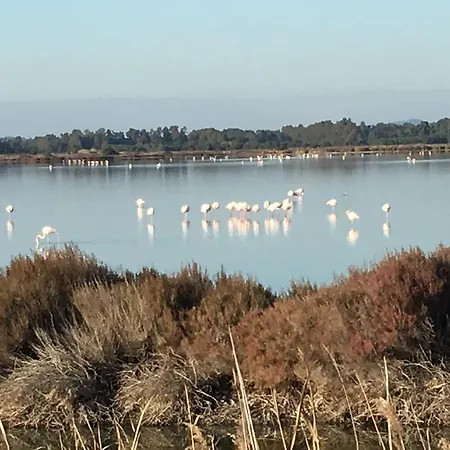 Prati Degli Orti Alloggio per agriturismo *