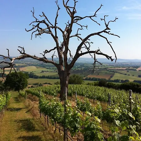 Prati Degli Orti Alloggio per agriturismo