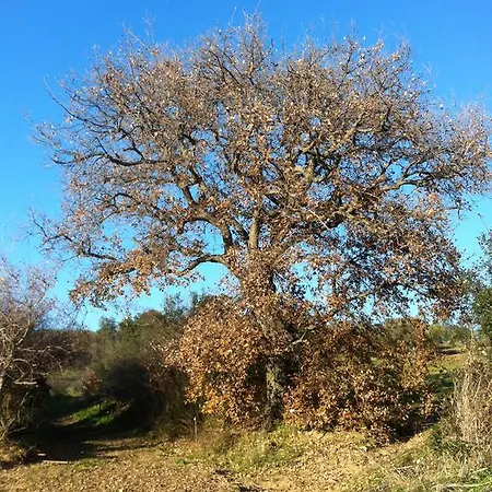 Prati Degli Orti Montiano (Tuscany)